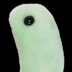 Meet your Posher, Rose